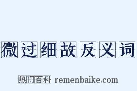 微过细故反义词是什么意思的图片